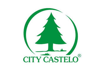 City Castelo